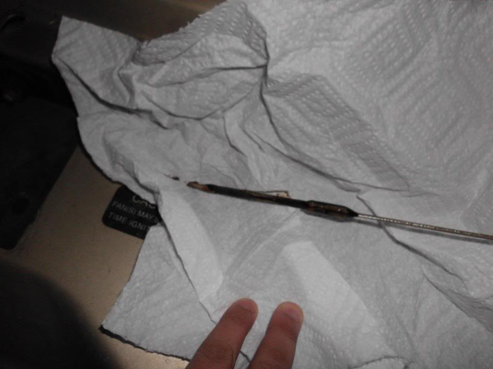 Name:  dippyoil.jpg
Views: 138
Size:  46.7 KB