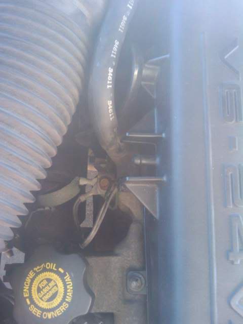 Name:  2010-04-24142406.jpg
Views: 289
Size:  19.4 KB