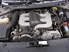 new guy here-dscn1683.jpg