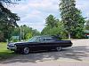 Black Beauty-dsc00758.jpg