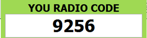 Chrysler 200 Radio Security code?-9256.png