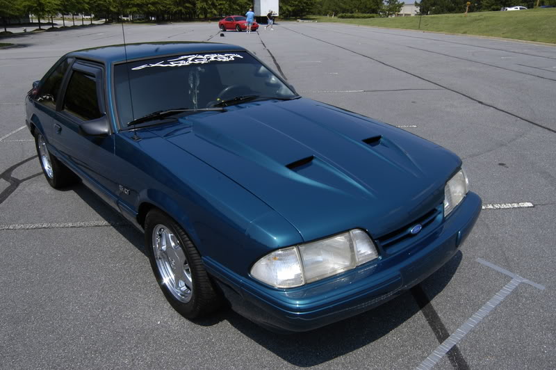 Name:  DSC_0274.jpg
Views: 74
Size:  112.9 KB